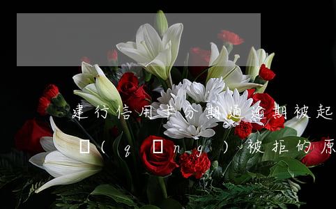 建行信用卡分期通逾期被起訴(建行分期通申請(qǐng)被拒的原因)