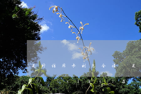 建行信用卡利息合理嗎(建行信用卡利息合理嗎現(xiàn)在)