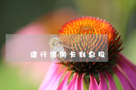 建行信用卡利息投訴電話（建行信用卡利息投訴）