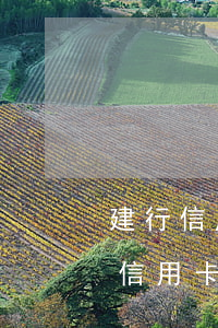 建行信用卡利息最新(建設(shè)銀行卡信用卡利息)