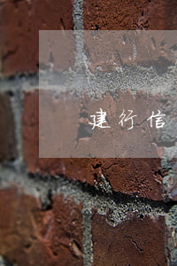 建行信用卡利息瘋漲 2020建行信用卡