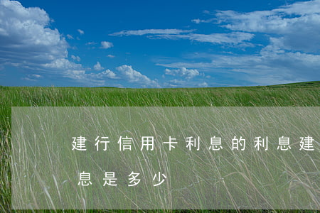 建行信用卡利息的利息 建行信用卡利息的利息是多少