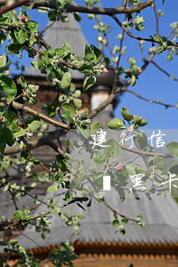 建行信用卡利息超級黑-建行信用卡利息超級黑卡多少錢
