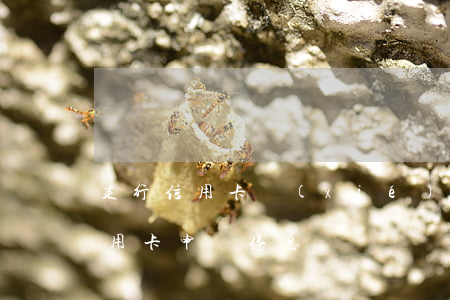 建行信用卡協(xié)商停息掛賬(建行信用卡申請停息掛賬)