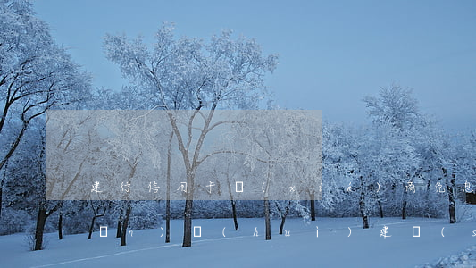 建行信用卡協(xié)商免息(銀監(jiān)會(huì)建設(shè)銀行信用卡逾期協(xié)商分期)