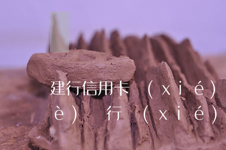 建行信用卡協(xié)商減免(建設(shè)銀行協(xié)商減免)