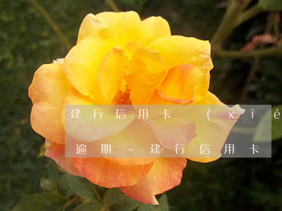 建行信用卡協(xié)商還款成功后再次逾期-建行信用卡協(xié)商還款成功后再次逾期怎么辦