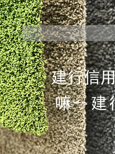 建行信用卡協(xié)商還款終于成功了嘛-建行信用卡協(xié)商還款終于成功了嘛怎么辦