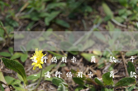 建行信用卡協商還款終于成功后賬單不體現-建行信用卡協商還款終于成功后賬單不體現了