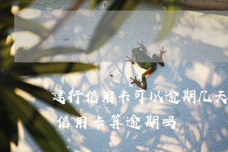 建行信用卡可以逾期几天还(建行推迟一天还信用卡算逾期吗?)
