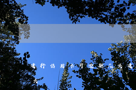 建行信用卡可逾期几天(建行信用卡能逾期几天)