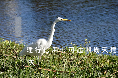建行信用卡可逾期幾天(建行信用卡能逾期幾天)