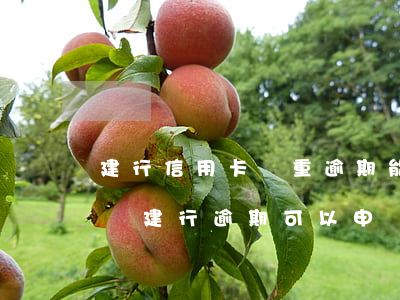 建行信用卡嚴重逾期能協(xié)商減免嗎(建行逾期可以申請減免利息滯納金嗎)