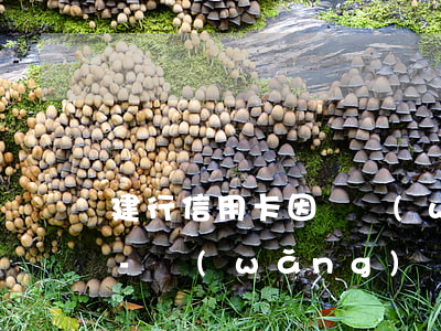 建行信用卡因為網(wǎng)貸逾期凍結-網(wǎng)貸逾期導致銀行卡凍結