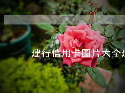 建行信用卡圖片大全(建行卡信用卡圖片)