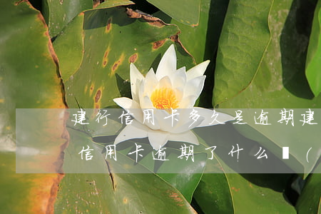 建行信用卡多久是逾期(建設(shè)銀行信用卡逾期了什么時(shí)候能恢復(fù)正常)