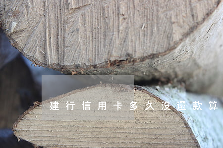 建行信用卡多久沒還款算逾期