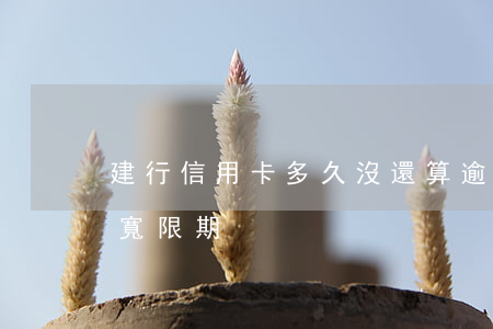 建行信用卡多久沒還算逾期(建行 信用卡 逾期寬限期)