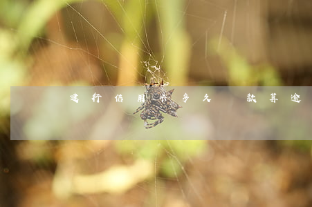 建行信用卡多久還款算逾期還款