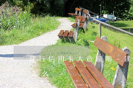 建行信用卡大意逾期-建行的信用卡逾期了怎么辦