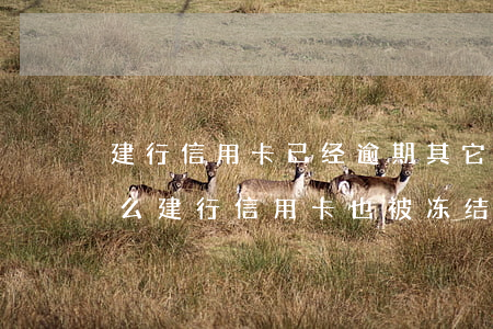 建行信用卡已经逾期 其它行信用卡逾期为什么建行信用卡也被冻结