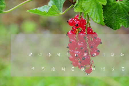 建行信用卡已逾期還款如何注銷-建行信用卡已逾期還款如何注銷賬戶