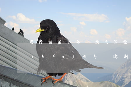 建行信用卡年費未交算逾期嗎-建行卡產(chǎn)生年費逾期了