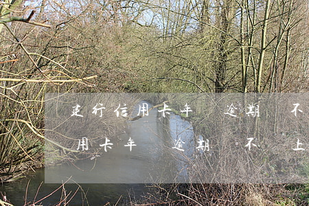 建行信用卡年費逾期會不會上征信-建行信用卡年費逾期會不會上征信記錄