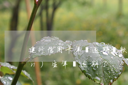 建行信用卡年費逾期貸款(建行卡產(chǎn)生年費逾期了)