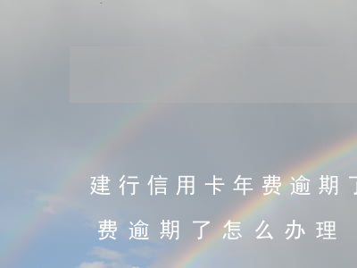 建行信用卡年费逾期了怎么办(建行信用卡年费逾期了怎么办理)