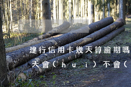建行信用卡幾天算逾期嗎(建行信用卡逾期三天會(huì)不會(huì)有什么影響嗎)
