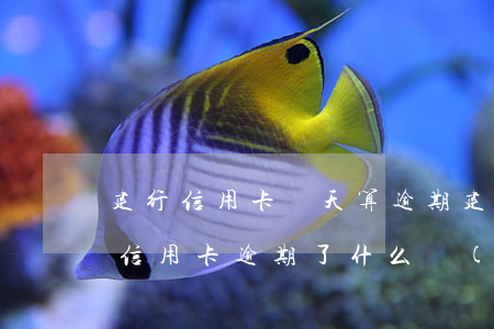 建行信用卡幾天算逾期(建設(shè)銀行信用卡逾期了什么時(shí)候能恢復(fù)正常)