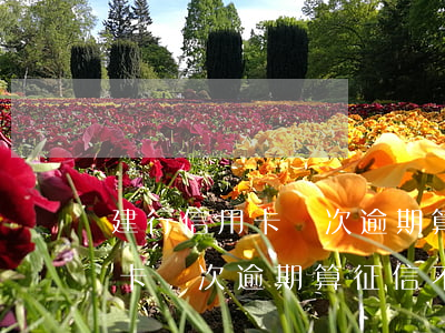 建行信用卡幾次逾期算征信不良-建行信用卡幾次逾期算征信不良記錄