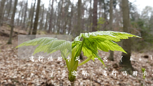 建行信用卡延遲一天會(huì)不會(huì)算逾期-建行信用卡延遲一天會(huì)不會(huì)算逾期了