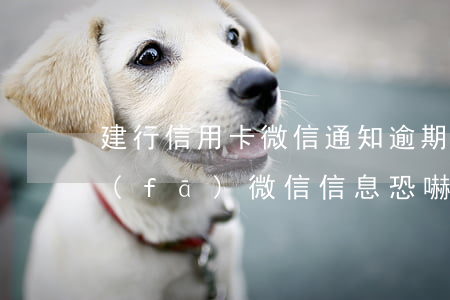 建行信用卡微信通知逾期(信用卡逾期銀行發(fā)微信信息恐嚇)