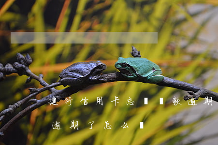 建行信用卡忘記還款逾期了-建行的信用卡逾期了怎么辦