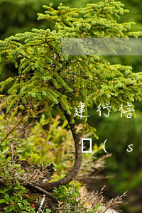建行信用卡忘記還款逾期半個(gè)月(建設(shè)銀行信用卡3個(gè)月未還款怎么辦)