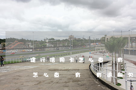 建行信用卡怎么查詢有沒有逾期(建行信用卡怎么查詢有沒有逾期欠款)