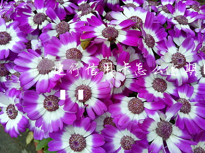 建行信用卡怎么逾期還款期限(建行逾期還款時間)