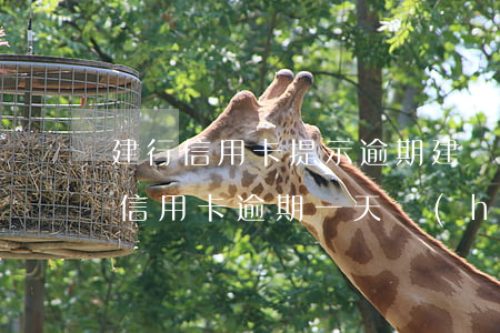 建行信用卡提示逾期(建設(shè)銀行的信用卡逾期一天會(huì)有不良記錄)