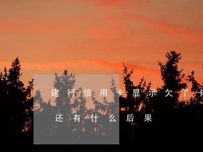 建行信用卡显示欠了卡(建设银行的信用卡不还有什么后果)