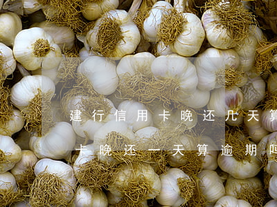 建行信用卡晚还几天算逾期(建设银行的信用卡晚还一天算逾期吗)