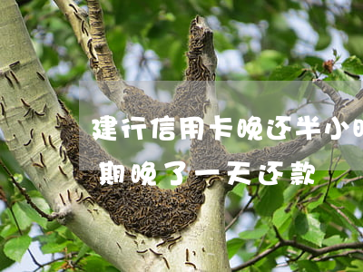 建行信用卡晚还半小时算逾期(建设银行宽限期晚了一天还款)