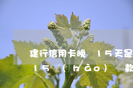 建行信用卡晚還15天是逾期嗎(建行信用卡15號(hào)還款可以寬限幾天)