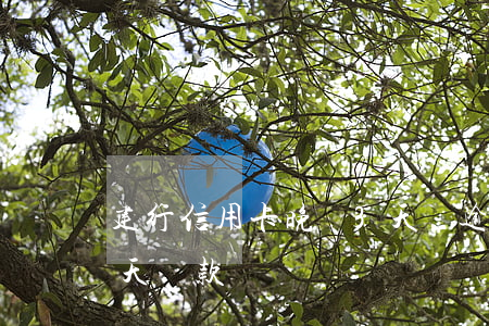 建行信用卡晚還3天會逾期嗎(建行有延遲三天還款嗎)