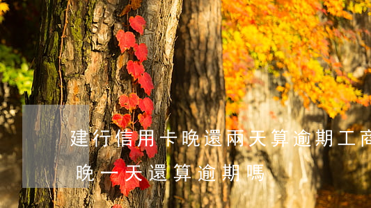 建行信用卡晚還兩天算逾期(工商銀行信用卡晚一天還算逾期嗎)