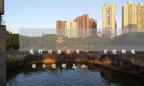 建行信用卡有一個月逾期 建設銀行有一次信用卡逾期怎么辦