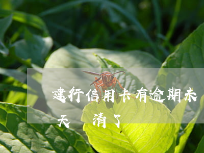 建行信用卡有逾期未還(建行信用卡逾期15天還清了)