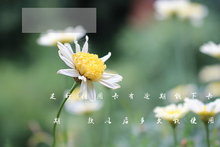 建行信用卡有逾期能下卡嗎(建行的信用卡逾期還款以后多久能使用)
