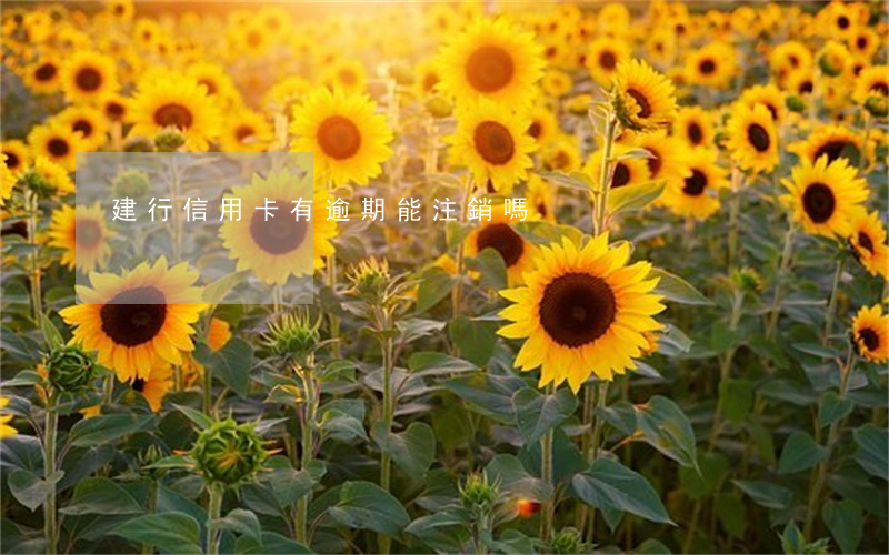 建行信用卡有逾期能注銷嗎
